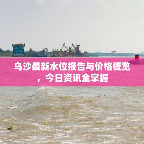 烏沙最新水位報告與價格概覽，今日資訊全掌握