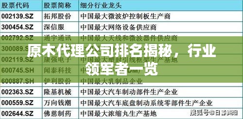 原木代理公司排名揭秘，行業(yè)領(lǐng)軍者一覽