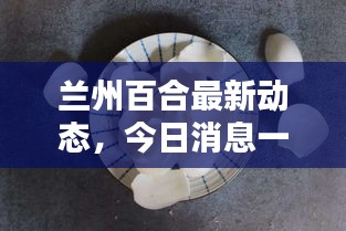 蘭州百合最新動(dòng)態(tài)，今日消息一網(wǎng)打盡！