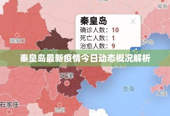 秦皇島最新疫情今日動態(tài)概況解析