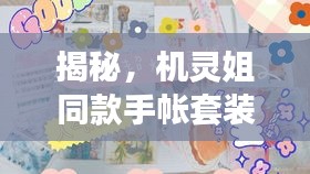 揭秘，機靈姐同款手帳套裝最新版獨家爆料