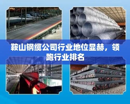 鞍山鋼纜公司行業(yè)地位顯赫，領(lǐng)跑行業(yè)排名