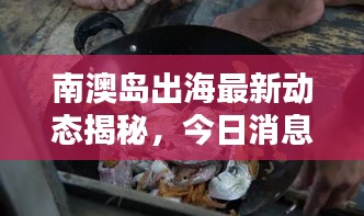 南澳島出海最新動態(tài)揭秘，今日消息一網(wǎng)打盡！