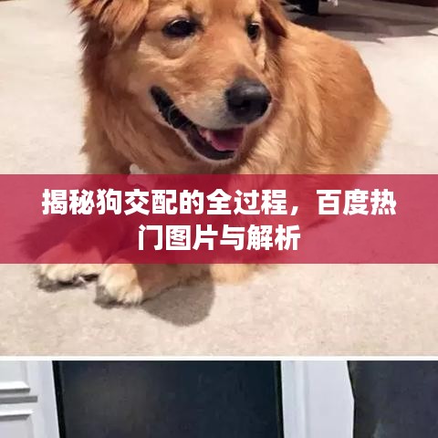 小家碧玉 第3頁(yè)