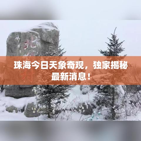 珠海今日天象奇觀，獨(dú)家揭秘最新消息！