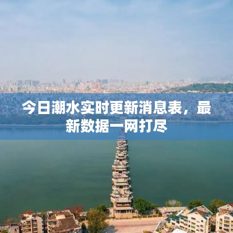 今日潮水實(shí)時(shí)更新消息表，最新數(shù)據(jù)一網(wǎng)打盡