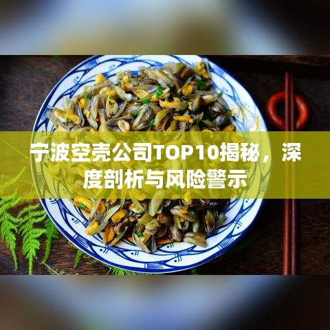 寧波空殼公司TOP10揭秘，深度剖析與風(fēng)險警示