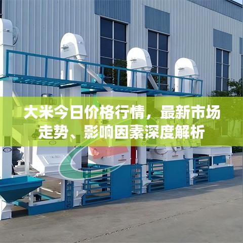 大米今日價格行情，最新市場走勢、影響因素深度解析