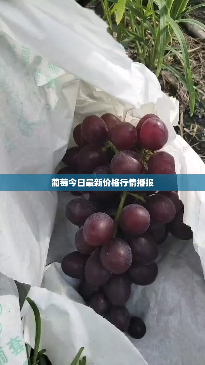 尊道貴德 第3頁