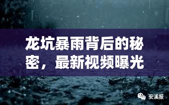 龍坑暴雨背后的秘密，最新視頻曝光，揭示驚人真相！