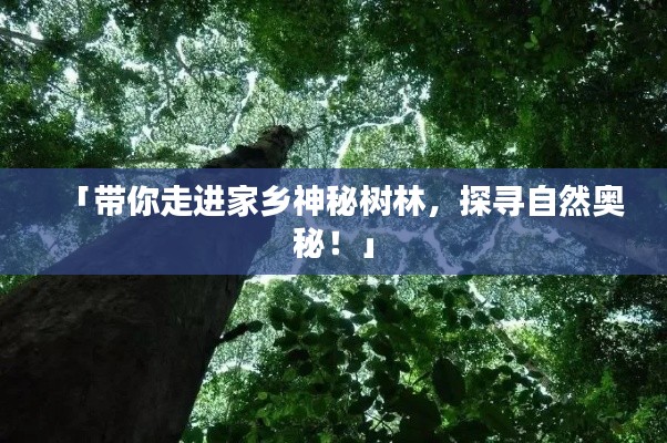 「帶你走進家鄉(xiāng)神秘樹林，探尋自然奧秘！」