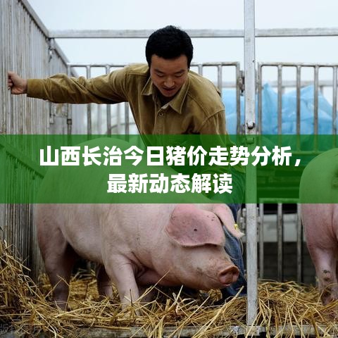 山西長(zhǎng)治今日豬價(jià)走勢(shì)分析，最新動(dòng)態(tài)解讀