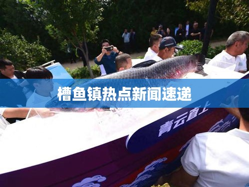 槽魚鎮(zhèn)熱點新聞速遞