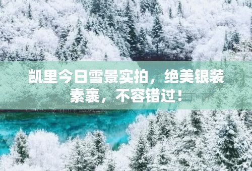 凱里今日雪景實拍，絕美銀裝素裹，不容錯過！