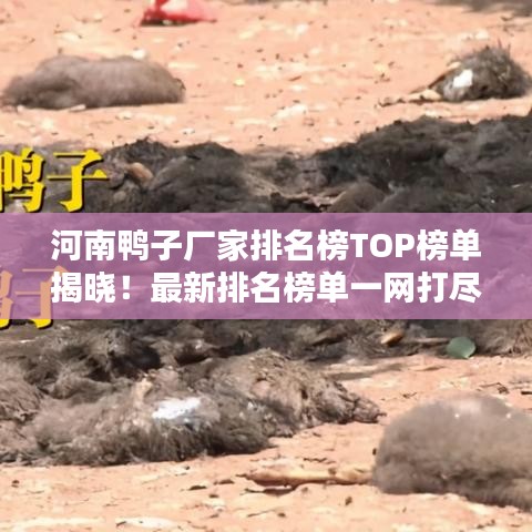 河南鴨子廠家排名榜TOP榜單揭曉！最新排名榜單一網(wǎng)打盡！