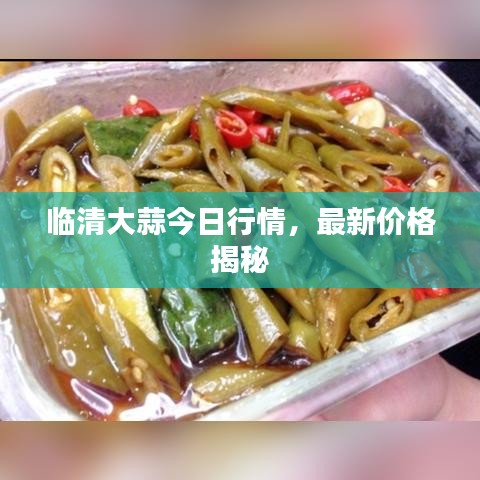 臨清大蒜今日行情，最新價格揭秘
