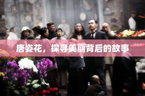 唐姿花，探尋美麗背后的故事