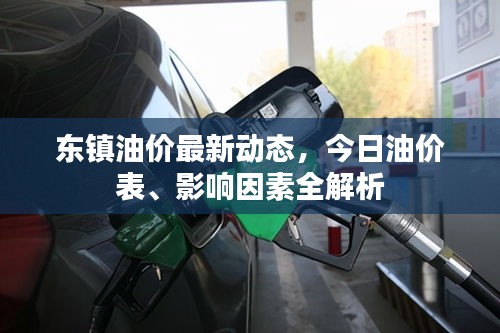 東鎮(zhèn)油價最新動態(tài)，今日油價表、影響因素全解析