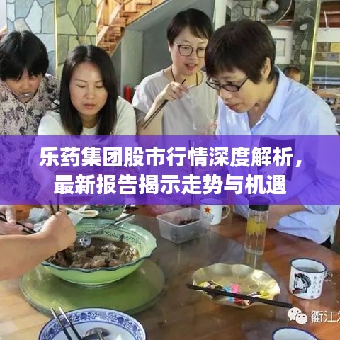 樂藥集團(tuán)股市行情深度解析，最新報(bào)告揭示走勢(shì)與機(jī)遇