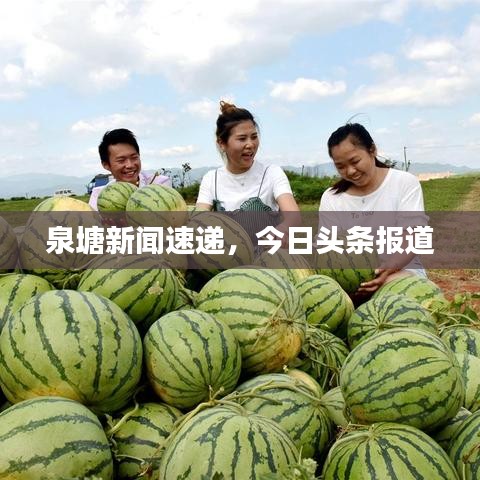 泉塘新聞速遞，今日頭條報(bào)道