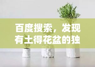 百度搜索，發(fā)現(xiàn)有土得花盆的獨(dú)特魅力