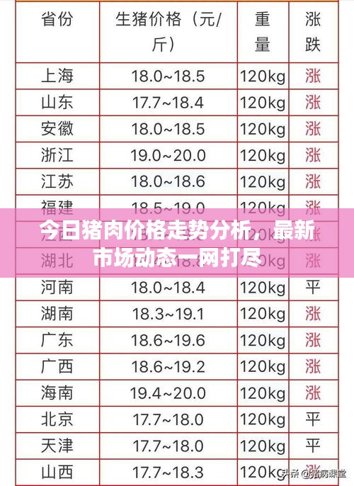 今日豬肉價格走勢分析，最新市場動態(tài)一網打盡