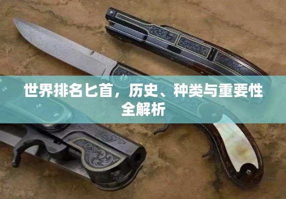 世界排名匕首，歷史、種類與重要性全解析