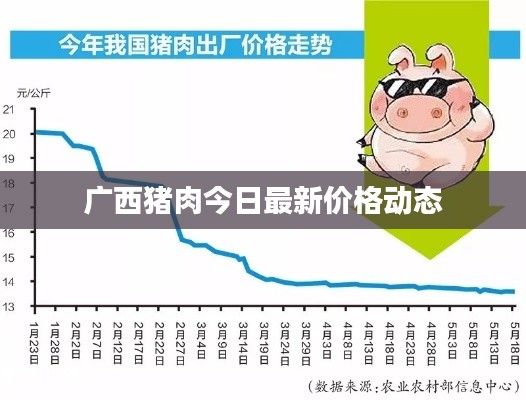 廣西豬肉今日最新價(jià)格動(dòng)態(tài)