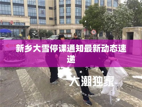 新鄉(xiāng)大雪停課通知最新動態(tài)速遞