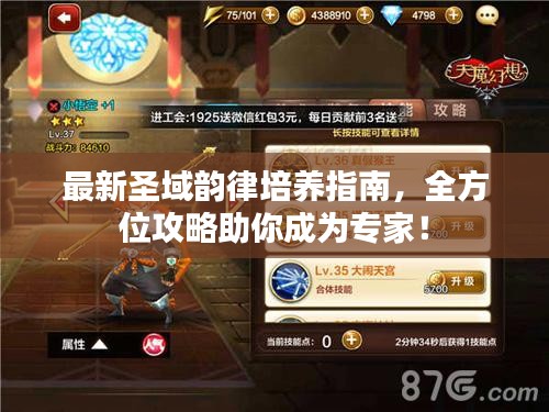 最新圣域韻律培養(yǎng)指南，全方位攻略助你成為專家！