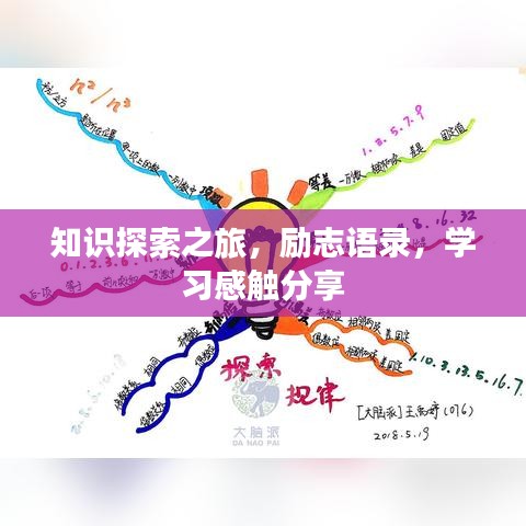 知識(shí)探索之旅，勵(lì)志語錄，學(xué)習(xí)感觸分享