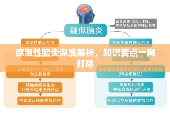 彌漫性腦炎深度解析，知識(shí)要點(diǎn)一網(wǎng)打盡