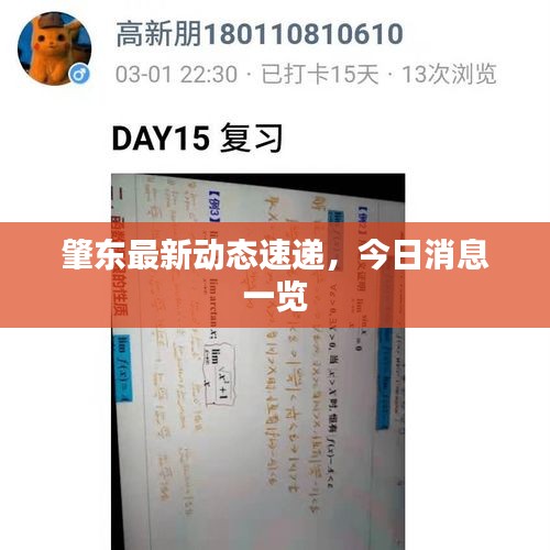 肇東最新動(dòng)態(tài)速遞，今日消息一覽