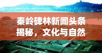 秦嶺碑林新聞頭條揭秘，文化與自然的和諧交融之旅