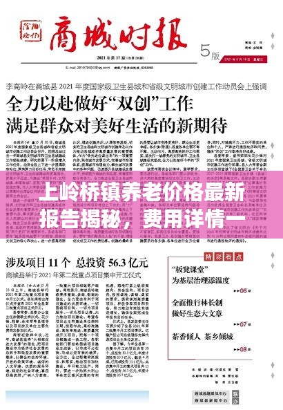 上嶺橋鎮(zhèn)養(yǎng)老價(jià)格最新報(bào)告揭秘，費(fèi)用詳情一網(wǎng)打盡