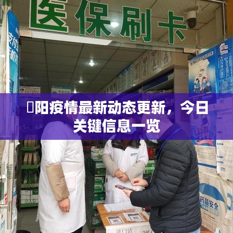 徳陽疫情最新動態(tài)更新，今日關鍵信息一覽
