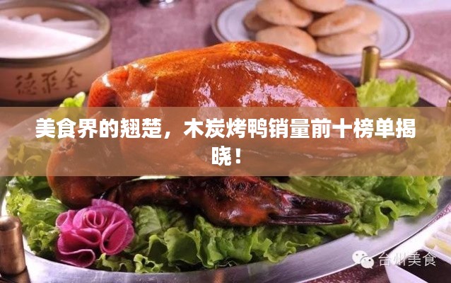 美食界的翹楚，木炭烤鴨銷(xiāo)量前十榜單揭曉！
