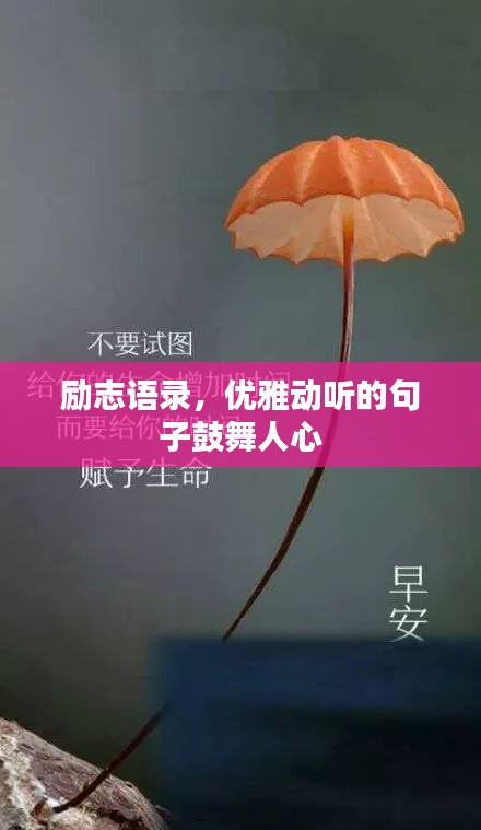 勵志語錄，優(yōu)雅動聽的句子鼓舞人心