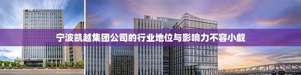 寧波凱越集團公司的行業(yè)地位與影響力不容小覷