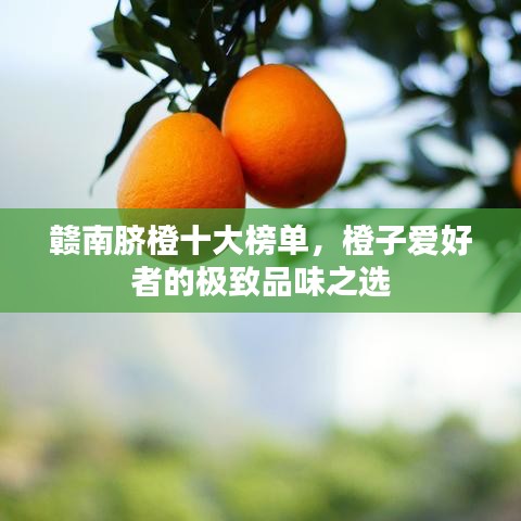 贛南臍橙十大榜單，橙子愛好者的極致品味之選