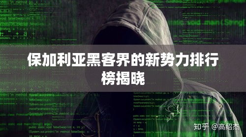 保加利亞黑客界的新勢(shì)力排行榜揭曉