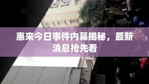 惠來今日事件內(nèi)幕揭秘，最新消息搶先看