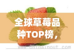 全球草莓品種TOP榜，十大草莓品種爭(zhēng)奇斗艷！