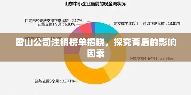 雷山公司注銷榜單揭曉，探究背后的影響因素