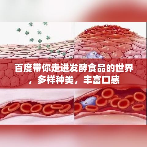 百度帶你走進(jìn)發(fā)酵食品的世界，多樣種類，豐富口感