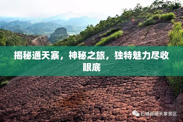 揭秘通天寨，神秘之旅，獨特魅力盡收眼底