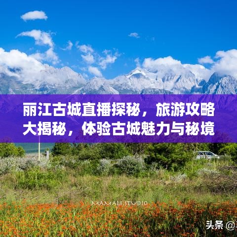 麗江古城直播探秘，旅游攻略大揭秘，體驗(yàn)古城魅力與秘境之旅！
