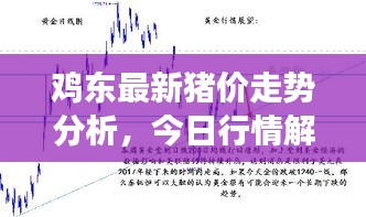 雞東最新豬價(jià)走勢(shì)分析，今日行情解讀