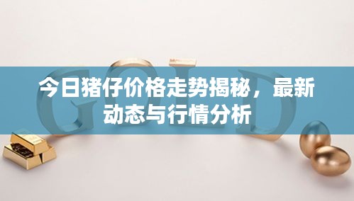 今日豬仔價格走勢揭秘，最新動態(tài)與行情分析