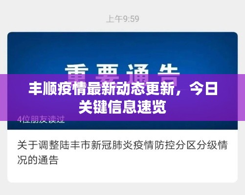 豐順疫情最新動態(tài)更新，今日關(guān)鍵信息速覽